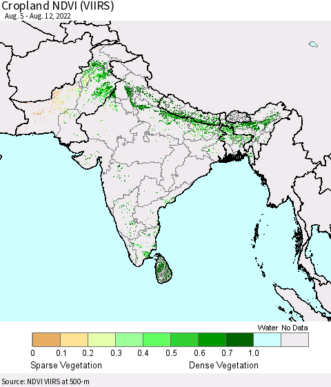 Southern Asia Cropland NDVI (VIIRS) Thematic Map For 8/5/2022 - 8/12/2022