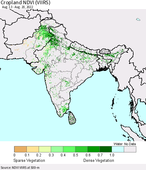 Southern Asia Cropland NDVI (VIIRS) Thematic Map For 8/11/2022 - 8/20/2022