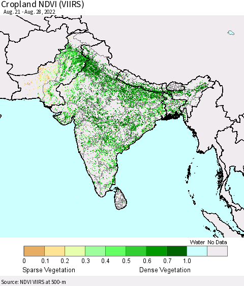Southern Asia Cropland NDVI (VIIRS) Thematic Map For 8/21/2022 - 8/28/2022