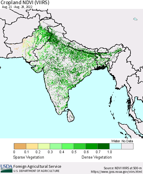 Southern Asia Cropland NDVI (VIIRS) Thematic Map For 8/21/2022 - 8/31/2022