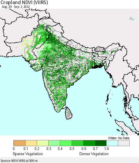 Southern Asia Cropland NDVI (VIIRS) Thematic Map For 8/29/2022 - 9/5/2022