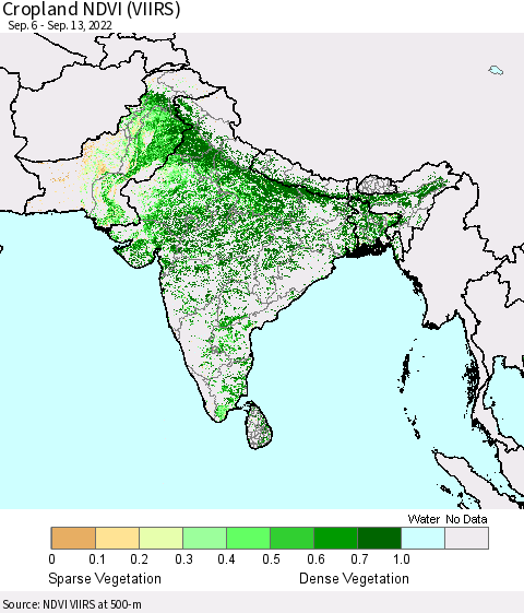Southern Asia Cropland NDVI (VIIRS) Thematic Map For 9/6/2022 - 9/13/2022