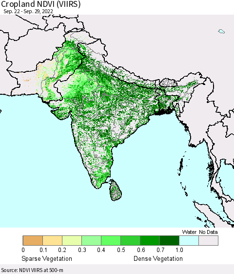 Southern Asia Cropland NDVI (VIIRS) Thematic Map For 9/22/2022 - 9/29/2022