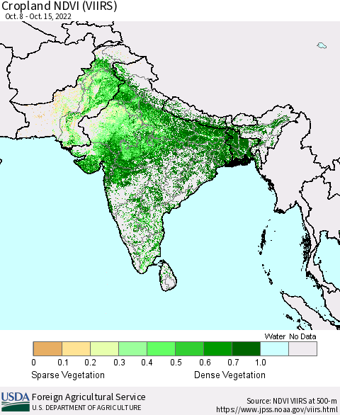 Southern Asia Cropland NDVI (VIIRS) Thematic Map For 10/11/2022 - 10/20/2022