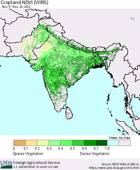 Southern Asia Cropland NDVI (VIIRS) Thematic Map For 11/11/2022 - 11/20/2022
