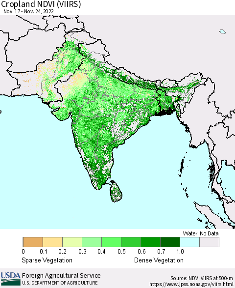 Southern Asia Cropland NDVI (VIIRS) Thematic Map For 11/21/2022 - 11/30/2022