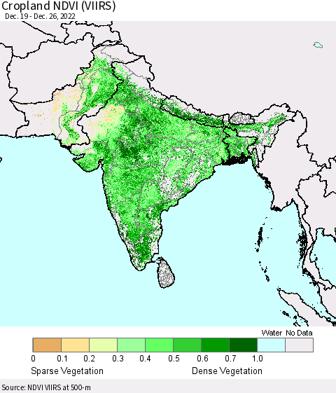 Southern Asia Cropland NDVI (VIIRS) Thematic Map For 12/19/2022 - 12/26/2022