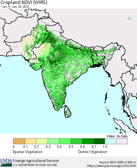Southern Asia Cropland NDVI (VIIRS) Thematic Map For 1/11/2023 - 1/20/2023