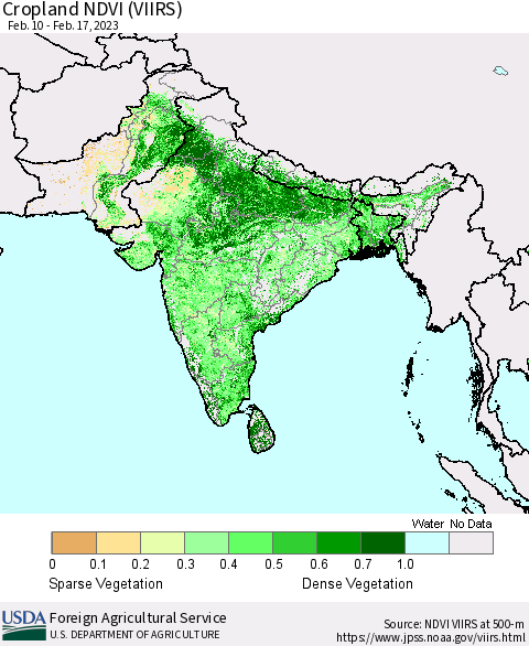 Southern Asia Cropland NDVI (VIIRS) Thematic Map For 2/11/2023 - 2/20/2023