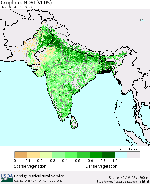 Southern Asia Cropland NDVI (VIIRS) Thematic Map For 3/11/2023 - 3/20/2023