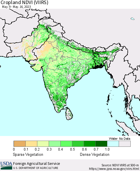 Southern Asia Cropland NDVI (VIIRS) Thematic Map For 5/11/2023 - 5/20/2023
