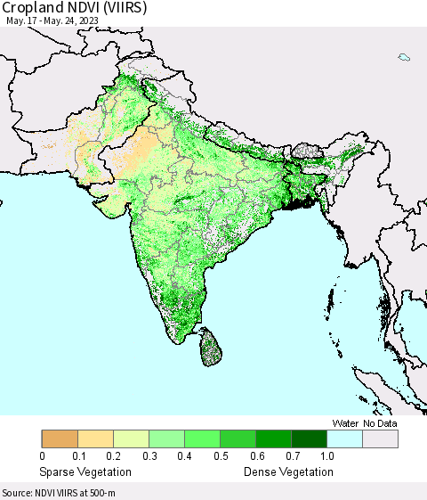 Southern Asia Cropland NDVI (VIIRS) Thematic Map For 5/17/2023 - 5/24/2023