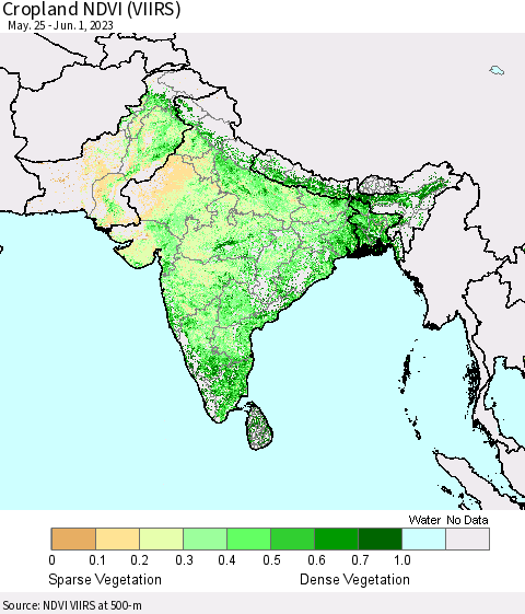 Southern Asia Cropland NDVI (VIIRS) Thematic Map For 5/25/2023 - 6/1/2023