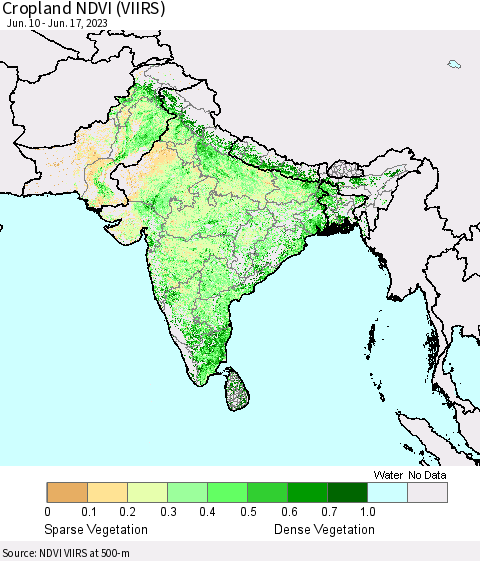 Southern Asia Cropland NDVI (VIIRS) Thematic Map For 6/10/2023 - 6/17/2023