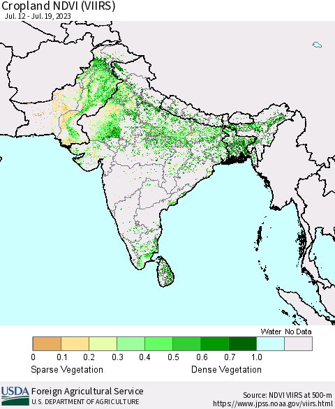 Southern Asia Cropland NDVI (VIIRS) Thematic Map For 7/11/2023 - 7/20/2023