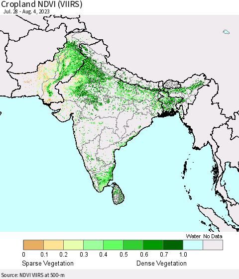 Southern Asia Cropland NDVI (VIIRS) Thematic Map For 7/28/2023 - 8/4/2023