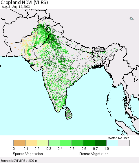 Southern Asia Cropland NDVI (VIIRS) Thematic Map For 8/5/2023 - 8/12/2023