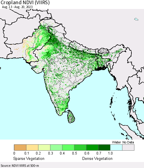 Southern Asia Cropland NDVI (VIIRS) Thematic Map For 8/11/2023 - 8/20/2023