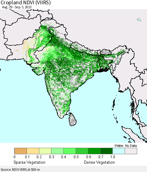 Southern Asia Cropland NDVI (VIIRS) Thematic Map For 8/29/2023 - 9/5/2023