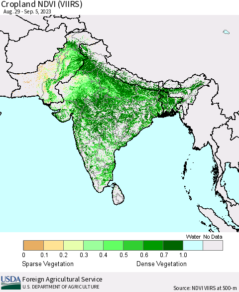 Southern Asia Cropland NDVI (VIIRS) Thematic Map For 9/1/2023 - 9/10/2023