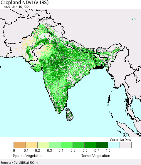 Southern Asia Cropland NDVI (VIIRS) Thematic Map For 1/9/2024 - 1/16/2024