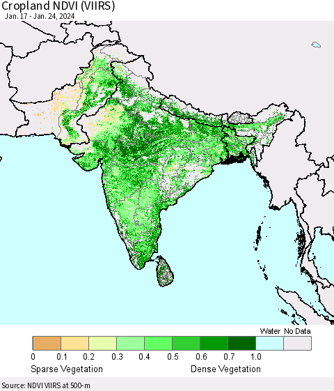 Southern Asia Cropland NDVI (VIIRS) Thematic Map For 1/17/2024 - 1/24/2024