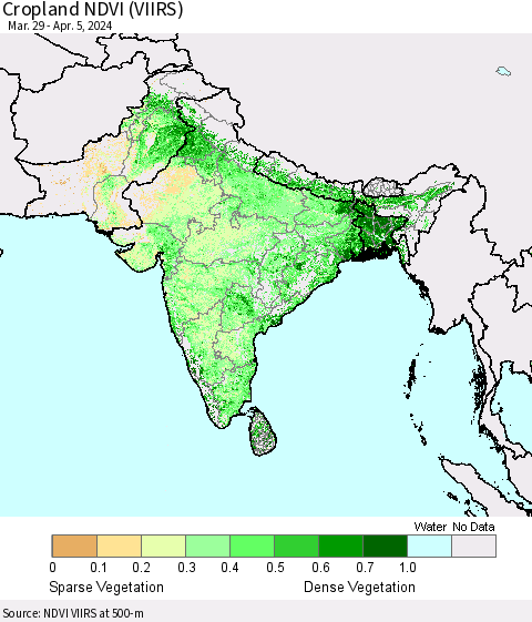 Southern Asia Cropland NDVI (VIIRS) Thematic Map For 3/29/2024 - 4/5/2024