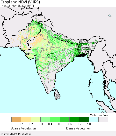 Southern Asia Cropland NDVI (VIIRS) Thematic Map For 5/16/2024 - 5/23/2024