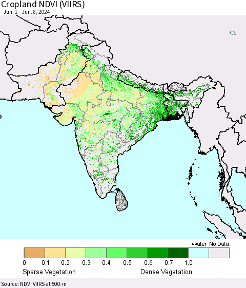 Southern Asia Cropland NDVI (VIIRS) Thematic Map For 6/1/2024 - 6/8/2024