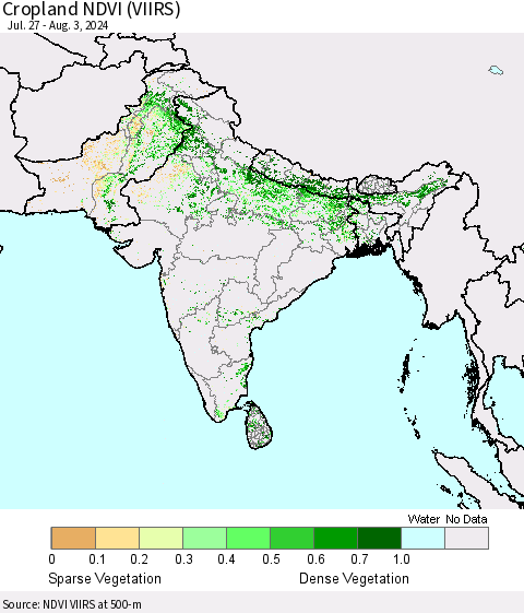 Southern Asia Cropland NDVI (VIIRS) Thematic Map For 7/27/2024 - 8/3/2024