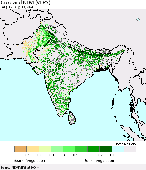Southern Asia Cropland NDVI (VIIRS) Thematic Map For 8/12/2024 - 8/19/2024