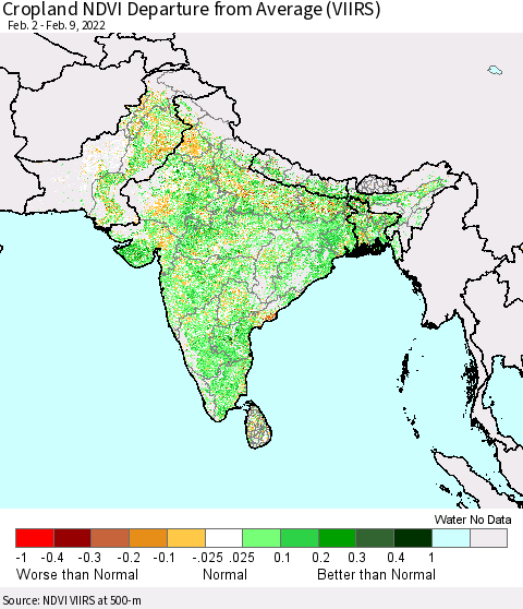 Southern Asia Cropland NDVI Departure from Average (VIIRS) Thematic Map For 2/2/2022 - 2/9/2022