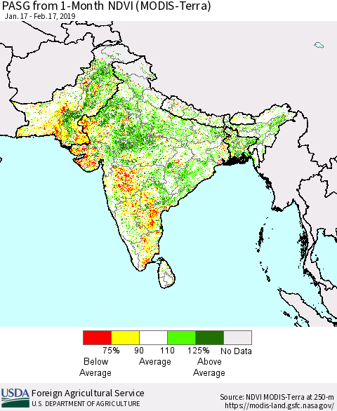 Southern Asia PASG from 1-Month NDVI (Terra-MODIS) Thematic Map For 2/11/2019 - 2/20/2019