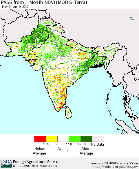 Southern Asia PASG from 1-Month NDVI (MODIS-Terra) Thematic Map For 6/1/2019 - 6/10/2019