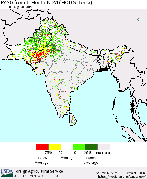 Southern Asia PASG from 1-Month NDVI (Terra-MODIS) Thematic Map For 8/21/2019 - 8/31/2019