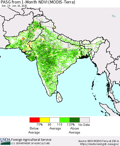 Southern Asia PASG from 1-Month NDVI (Terra-MODIS) Thematic Map For 1/11/2020 - 1/20/2020