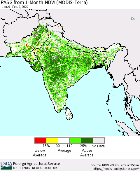 Southern Asia PASG from 1-Month NDVI (MODIS-Terra) Thematic Map For 2/1/2020 - 2/10/2020