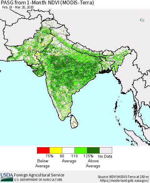 Southern Asia PASG from 1-Month NDVI (MODIS-Terra) Thematic Map For 3/11/2020 - 3/20/2020