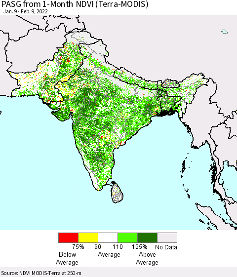 Southern Asia PASG from 1-Month NDVI (Terra-MODIS) Thematic Map For 2/2/2022 - 2/9/2022