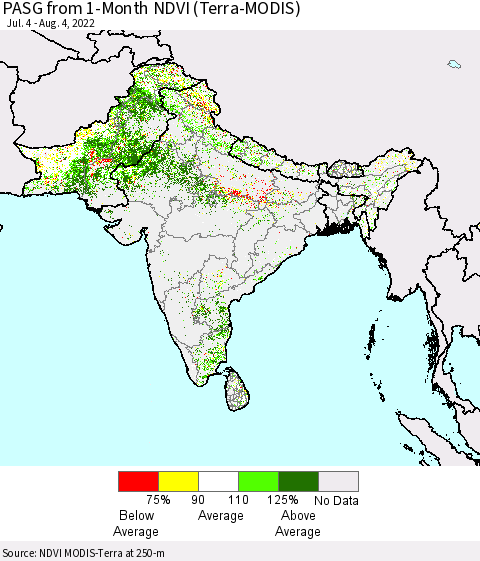 Southern Asia PASG from 1-Month NDVI (Terra-MODIS) Thematic Map For 7/28/2022 - 8/4/2022