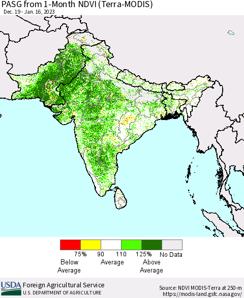 Southern Asia PASG from 1-Month NDVI (Terra-MODIS) Thematic Map For 1/11/2023 - 1/20/2023