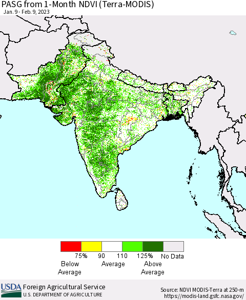 Southern Asia PASG from 1-Month NDVI (Terra-MODIS) Thematic Map For 2/1/2023 - 2/10/2023