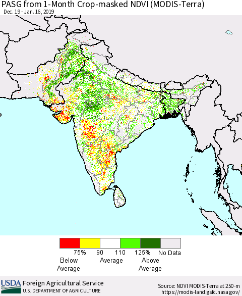 Southern Asia PASG from 1-Month Cropland NDVI (Terra-MODIS) Thematic Map For 1/11/2019 - 1/20/2019