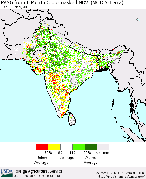 Southern Asia PASG from 1-Month Cropland NDVI (Terra-MODIS) Thematic Map For 2/1/2019 - 2/10/2019