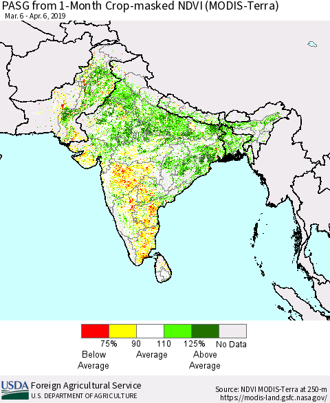 Southern Asia PASG from 1-Month Cropland NDVI (Terra-MODIS) Thematic Map For 4/1/2019 - 4/10/2019