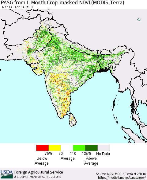 Southern Asia PASG from 1-Month Cropland NDVI (Terra-MODIS) Thematic Map For 4/11/2019 - 4/20/2019