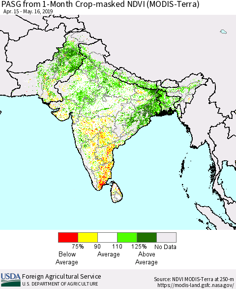 Southern Asia PASG from 1-Month Crop-masked NDVI (MODIS-Terra) Thematic Map For 5/11/2019 - 5/20/2019