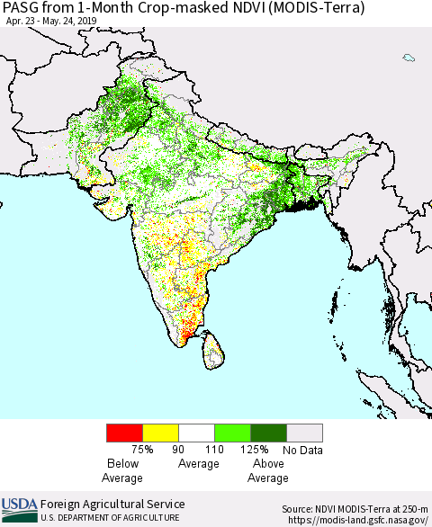 Southern Asia PASG from 1-Month Crop-masked NDVI (MODIS-Terra) Thematic Map For 5/21/2019 - 5/31/2019