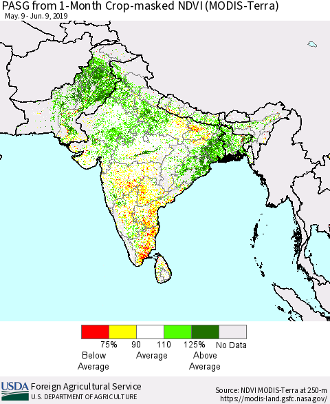 Southern Asia PASG from 1-Month Crop-masked NDVI (MODIS-Terra) Thematic Map For 6/1/2019 - 6/10/2019