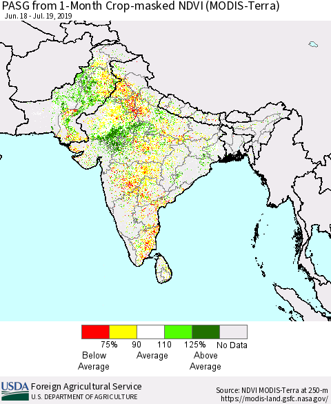 Southern Asia PASG from 1-Month Crop-masked NDVI (MODIS-Terra) Thematic Map For 7/11/2019 - 7/20/2019